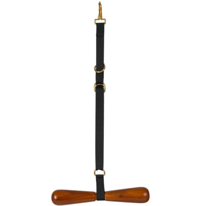 Support de selle T-Hanger Noir dans le groupe Écurie & Pré / Matériel pour l'écurie / Crochets & Porte-manteaux chez Equinest (8227301BA)