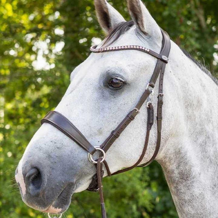 Bridon sans mors Sunna Marron dans le groupe Équipement cheval / Briderie & Frontaux / Hackamores & Bridons sans mors chez Equinest (9074BR3BR_r)
