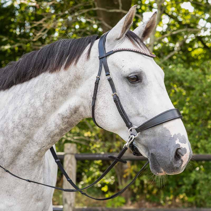 Bridon sans mors Sunna Noir dans le groupe Équipement cheval / Briderie & Frontaux / Hackamores & Bridons sans mors chez Equinest (9074ZW3BA_r)