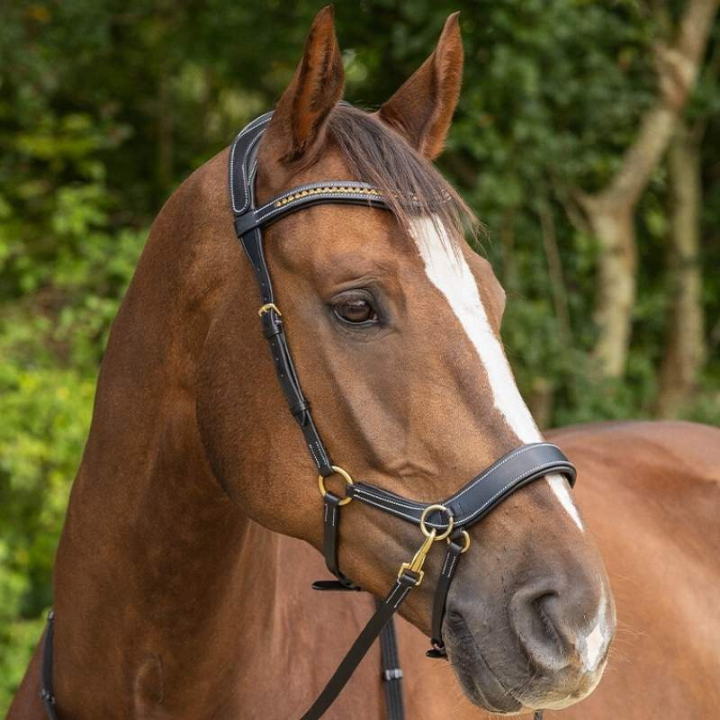 Bride sans mors Anatomique Noir dans le groupe Équipement cheval / Briderie & Frontaux / Hackamores & Bridons sans mors chez Equinest (9089BA)