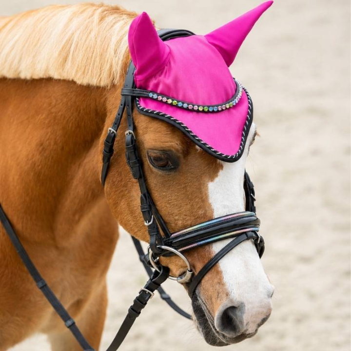 Bridon Isalyn Noir dans le groupe Équipement cheval / Briderie & Frontaux / Brides chez Equinest (9124ZW1BA_r)