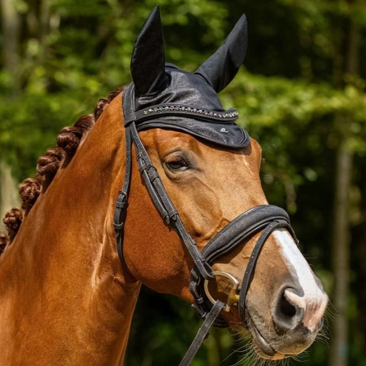 Bridon Glitter Collection Noir dans le groupe Équipement cheval / Briderie & Frontaux / Brides et brides de dressage chez Equinest (9125ZW3BA_r)
