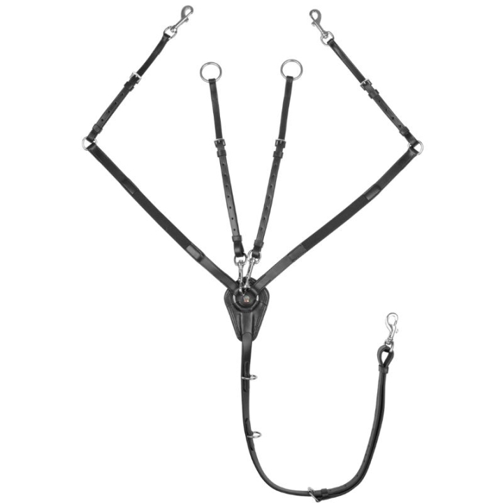 Collier de chasse Elastic X-Line Noir dans le groupe Équipement cheval / Martingales & Enrênements / Colliers de chasse chez Equinest (9562301PBA_r)