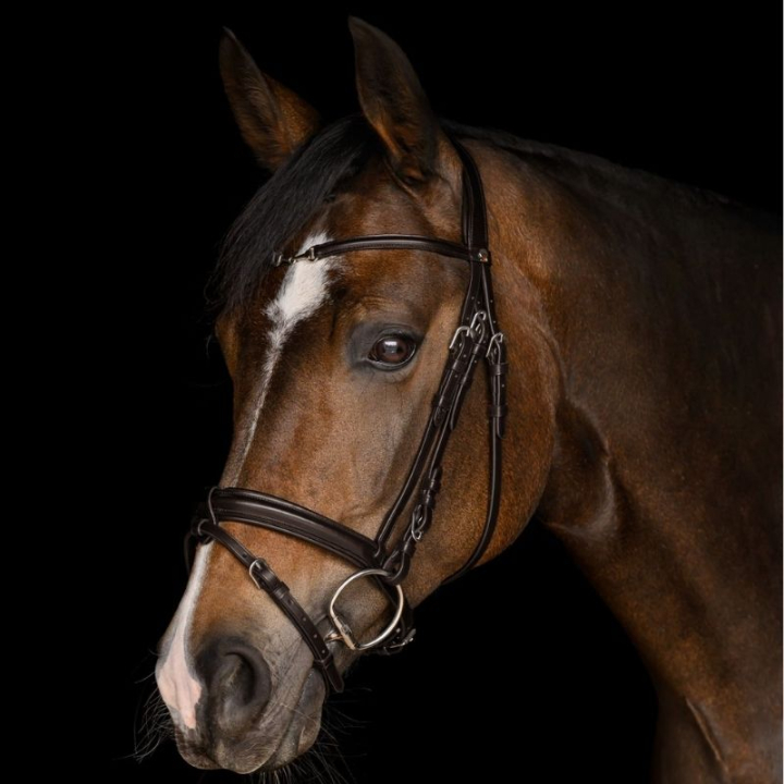 Bridon Charmbit X-Line Marron dans le groupe Équipement cheval / Briderie & Frontaux / Brides chez Equinest (9582530VBR_r)