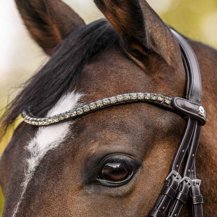 Frontal Shine X-Line Marron/Argent dans le groupe Équipement cheval / Briderie & Frontaux / Frontaux chez Equinest (9589111VBRSI_r)