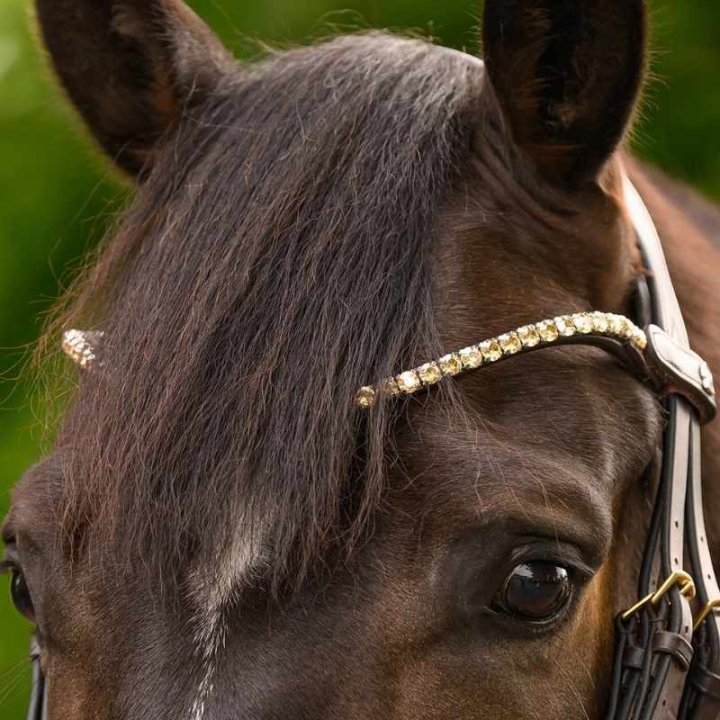 Frontal Shine X-Line Marron/Toffee dans le groupe Équipement cheval / Briderie & Frontaux / Frontaux chez Equinest (9589184VBRTF_r)
