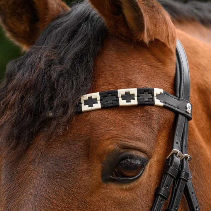 Frontal Polo X-Line Noir/Beige dans le groupe Équipement cheval / Briderie & Frontaux / Frontaux chez Equinest (9589301VBLABE_r)