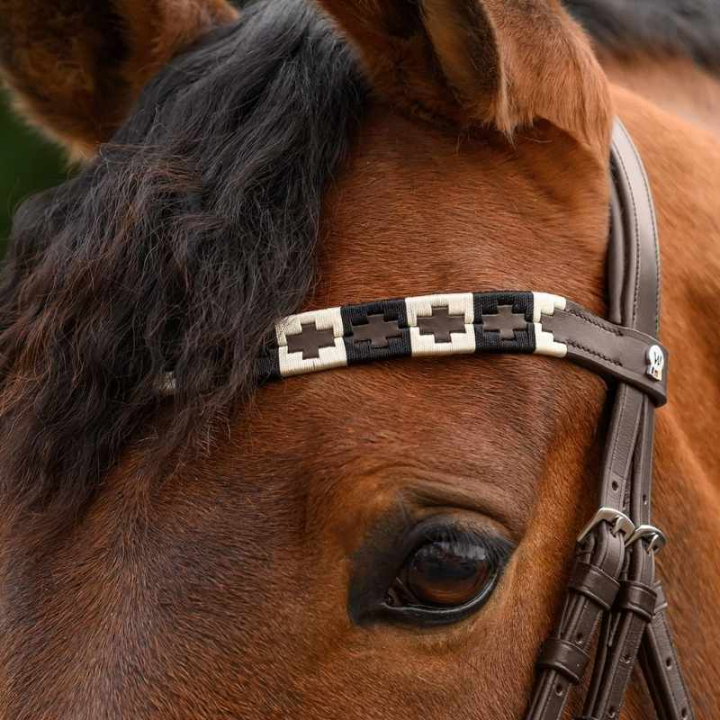 Frontal Polo X-Line Marron/Beige dans le groupe Équipement cheval / Briderie & Frontaux / Frontaux chez Equinest (9589401VBRBR_r)