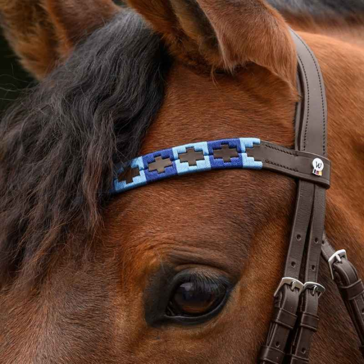 Frontal Polo X-Line Bleu/Marron dans le groupe Équipement cheval / Briderie & Frontaux / Frontaux chez Equinest (9589405VBRBL_r)