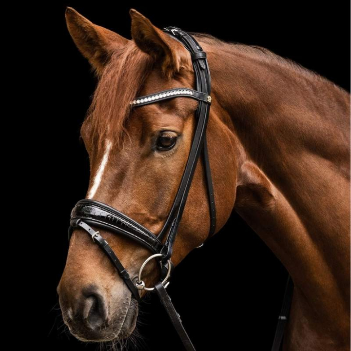 Bridon de dressage Magic Croco S-Line Noir dans le groupe Équipement cheval / Briderie & Frontaux / Brides et brides de dressage chez Equinest (9808501VBA_r)