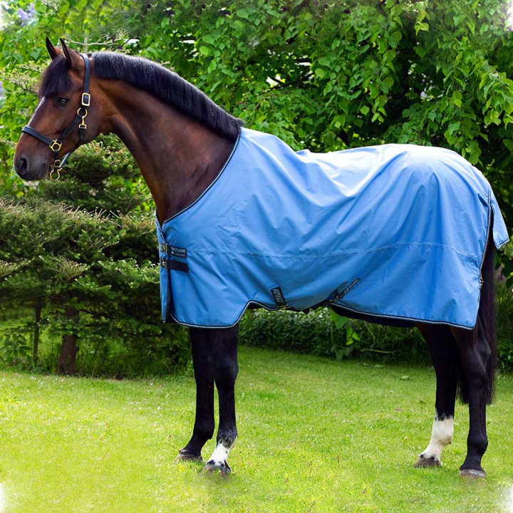 Couverture imperméable Amigo Hero 900 50g Bleu dans le groupe Couvertures cheval / Couvertures d'extérieur / Couvertures imperméables cheval chez Equinest (AAMA91Bl_r)
