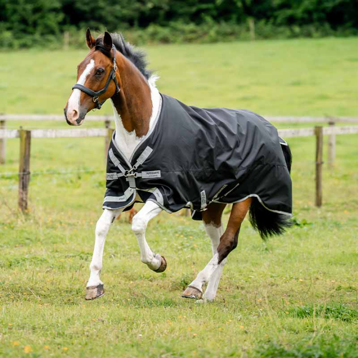 Couverture imperméable Amigo 1200D 50g Noir/Gris dans le groupe Couvertures cheval / Couvertures d'extérieur / Couvertures imperméables cheval chez Equinest (AAOAL1KJIBAGR_r)