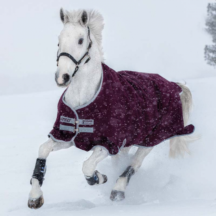 Couverture d'hiver Amigo Hero Ripstop 200g Rouge vin dans le groupe Couvertures cheval / Couvertures d'extérieur / Couvertures d'hiver chez Equinest (AAPA93Vn_r)