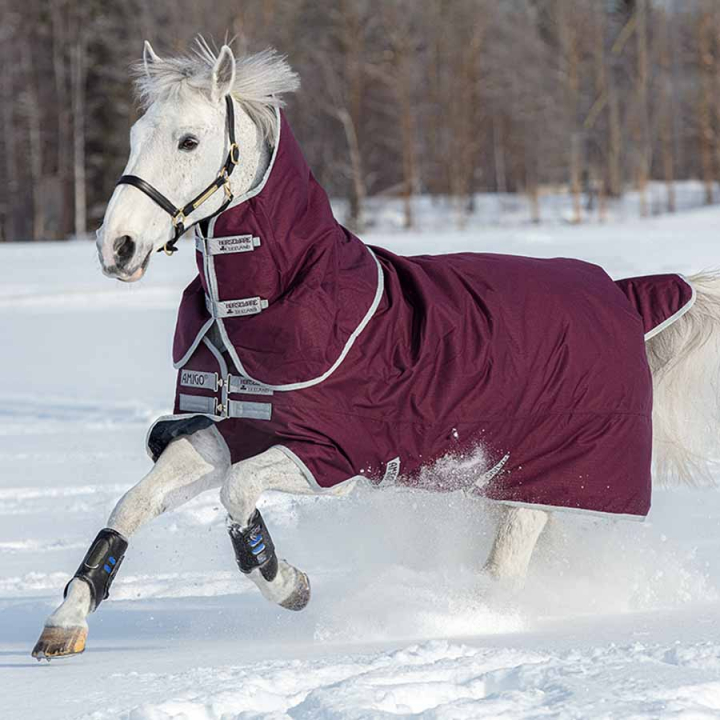 Couverture d'hiver Amigo Hero Ripstop Plus 200g Rouge vin/Argent dans le groupe Couvertures cheval / Couvertures d'extérieur / Couvertures d'hiver chez Equinest (AAPP93RESI)