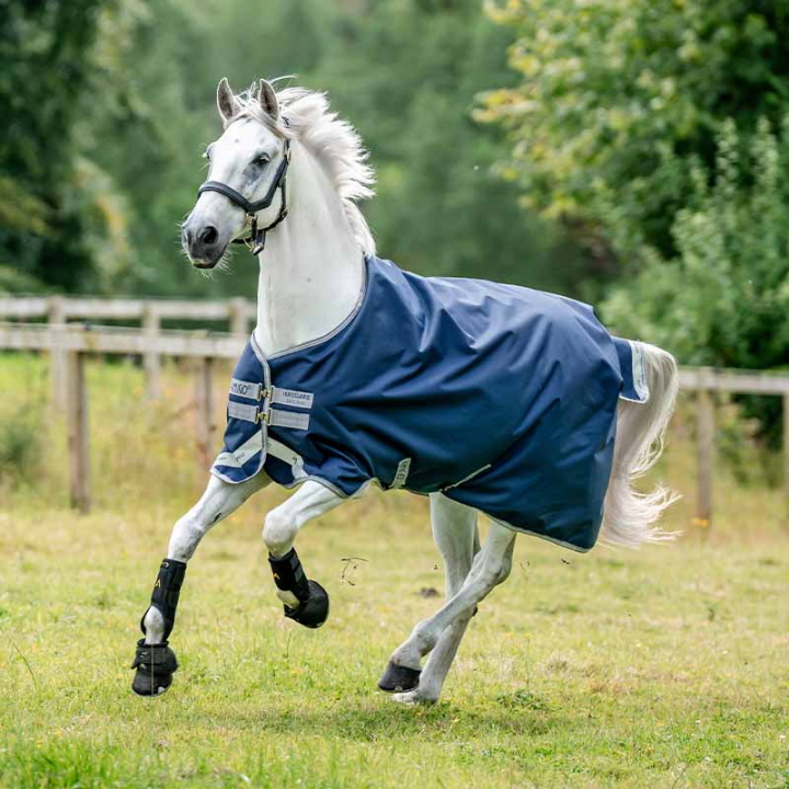 Couverture de pré Amigo Bravo 12 Original 100g Bleu Marine/Gris  dans le groupe Couvertures cheval / Couvertures d'extérieur / Couvertures de transition chez Equinest (AARA16NA)