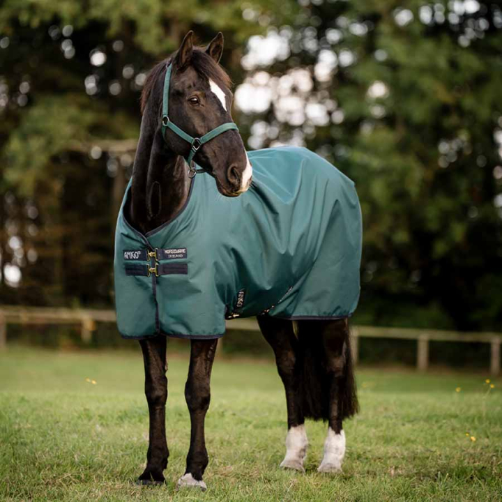 Couverture imperméable Amigo Ripstop 900D 50g Vert/Bleu marine/Argent dans le groupe Couvertures cheval / Couvertures d'extérieur / Couvertures imperméables cheval chez Equinest (AARAG1GBIGNMASI_r)