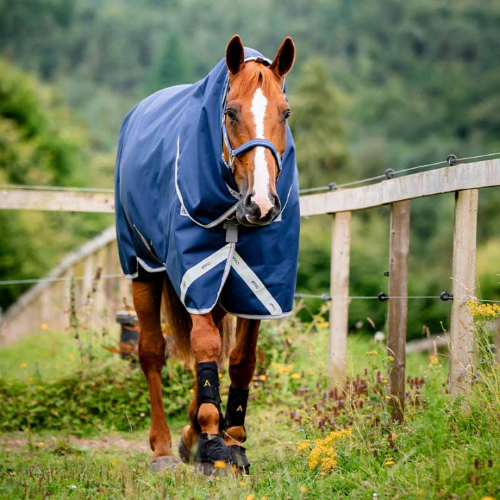 Couverture d'hiver avec Capuche Amigo Bravo 12 Plus Bundle (50g+100g+200g) V-Front Bleu Marine/Gris dans le groupe Couvertures cheval / Couvertures d'extérieur / Couvertures d'hiver chez Equinest (AARDM2NA)