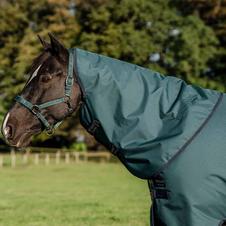 Couvre-cou Amigo Ripstop 900D 0g Vert/Bleu marine/Argent dans le groupe Couvertures cheval / Couvre-encolures chez Equinest (AARN10GBGNMASI_r)
