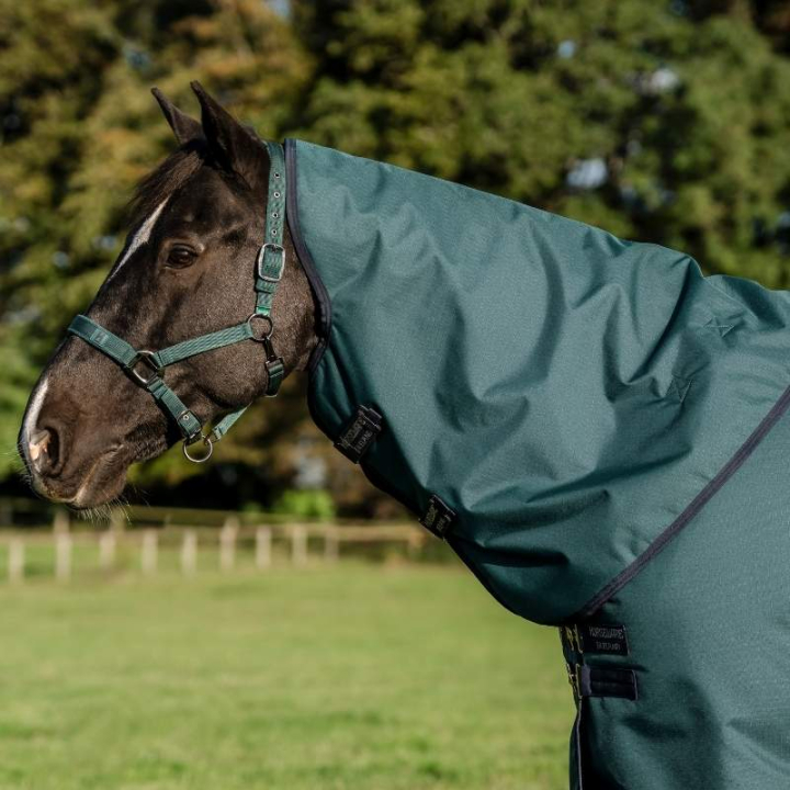 Couvre-cou Amigo Ripstop 900D 150g Vert/Bleu marine/Argent dans le groupe Couvertures cheval / Couvre-encolures chez Equinest (AARN13GBIGNMASI_r)