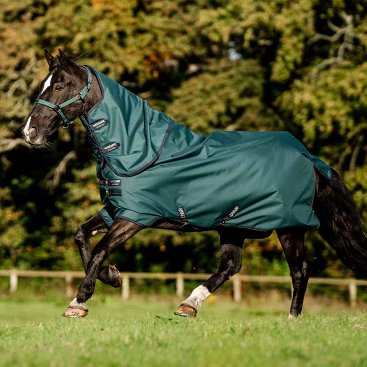 Couverture imperméable Amigo Ripstop 900D Plus 0g Vert/Bleu marine/Argent dans le groupe Couvertures cheval / Couvertures d'extérieur / Couvertures imperméables cheval chez Equinest (AARPG0GBIGNMASI_r)