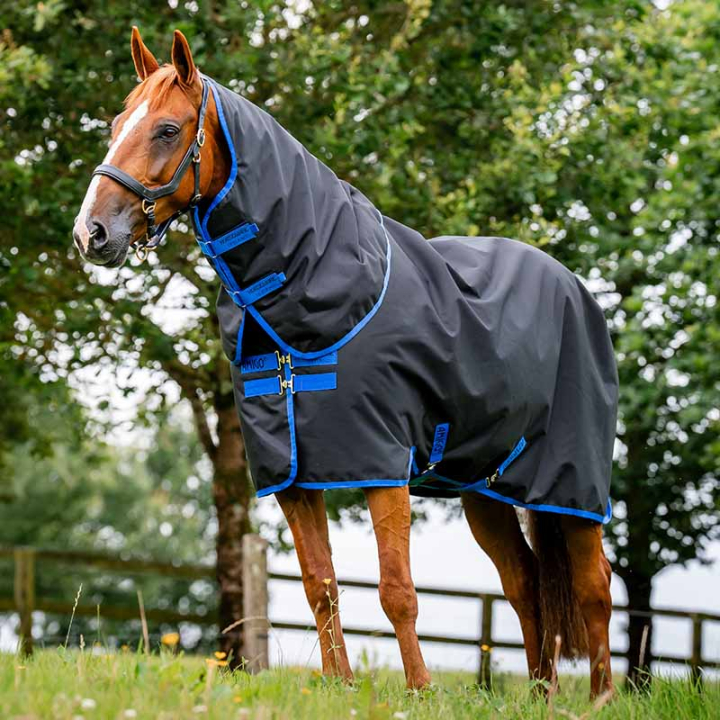 Couverture imperméable Amigo Ripstop 900D Plus 0g Noir/Bleu dans le groupe Couvertures cheval / Couvertures d'extérieur / Couvertures imperméables cheval chez Equinest (AARPG0KDBABL_r)