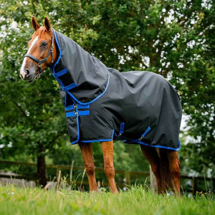 Couverture de pré avec Capuche Amigo Ripstop 900 Plus 100g Noir/Bleu dans le groupe Couvertures cheval / Couvertures d'extérieur / Couvertures de transition chez Equinest (AARPG2BA)