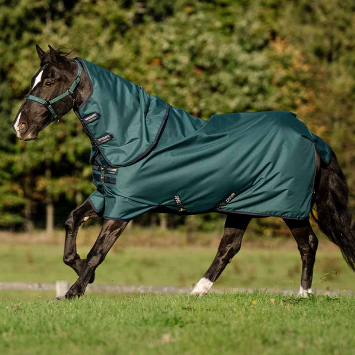 Couverture extérieure Amigo Ripstop 900D Plus 100g Vert/Bleu marine/Argent dans le groupe Couvertures cheval / Couvertures d'extérieur / Couvertures de transition chez Equinest (AARPG2GBIGNMASI_r)