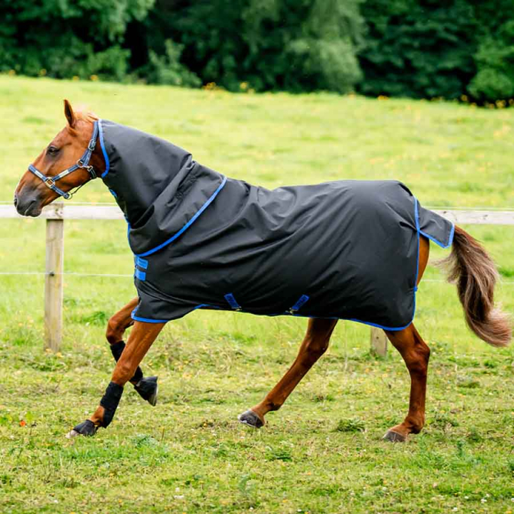 Couverture d'hiver avec Capuche Amigo Ripstop 900 Plus 200g Noir/Bleu dans le groupe Couvertures cheval / Couvertures d'extérieur / Couvertures d'hiver chez Equinest (AARPG4BA)