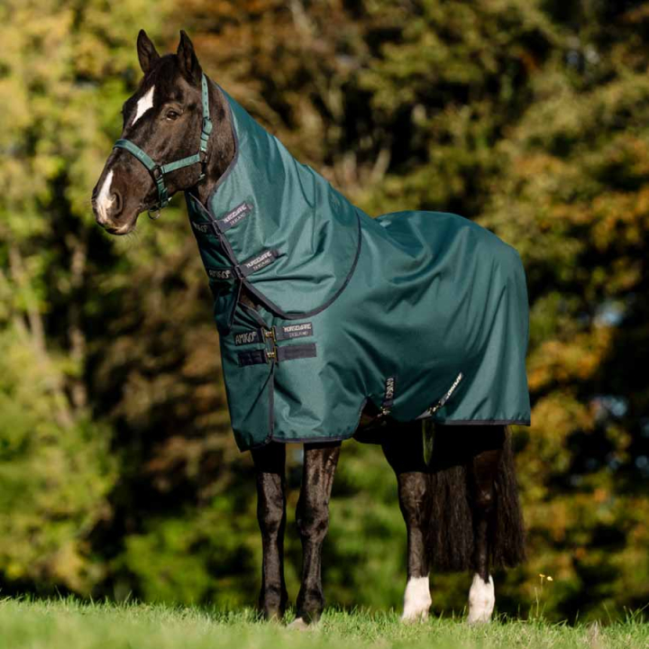Couverture d'hiver Amigo Ripstop 900D Plus 200g Vert/Bleu marine/Argent dans le groupe Couvertures cheval / Couvertures d'extérieur / Couvertures d'hiver chez Equinest (AARPG4GBIGNMASI_r)