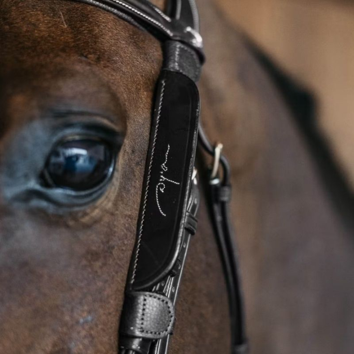 Blinkers Fancy Stitching Noir dans le groupe Équipement cheval / Briderie & Frontaux / Accessoires de briderie chez Equinest (AB99QBLBA)