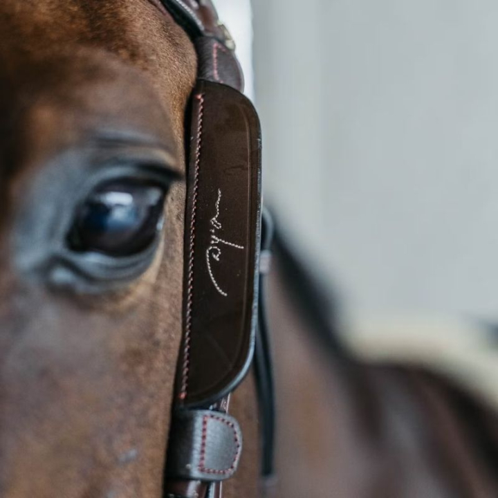 Blinkers Fancy Stitching Marron dans le groupe Équipement cheval / Briderie & Frontaux / Accessoires de briderie chez Equinest (AB99QBRBR)