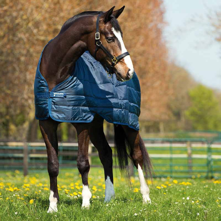 Liner 300g Bleu Marine dans le groupe Couvertures cheval / Liners & Sous-couvertures chez Equinest (ABAD63Ma_r)