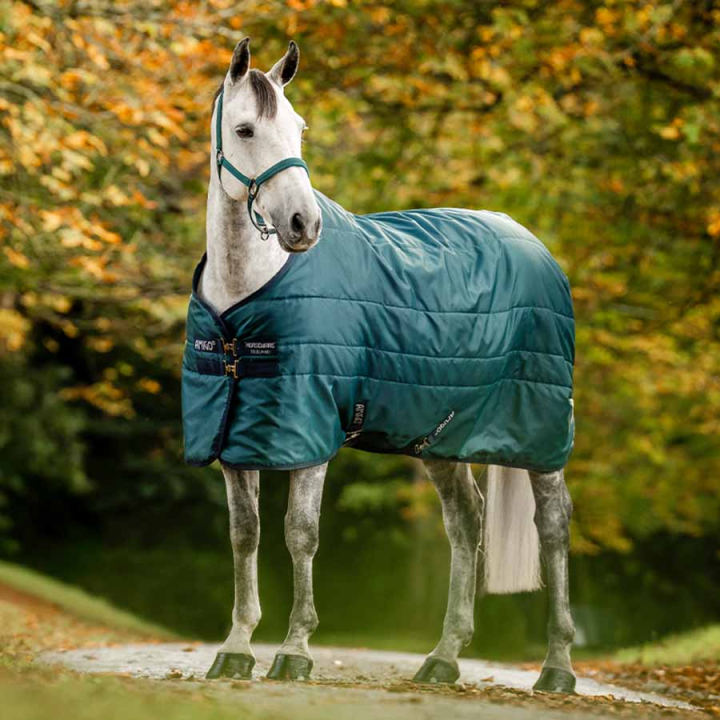 Couverture d'écurie Amigo Insulator Ripstop 210D 100g Vert/Bleu marine/Argent dans le groupe Couvertures cheval / Couvertures d'écurie chez Equinest (ABRDM1GBIGNMASI_r)