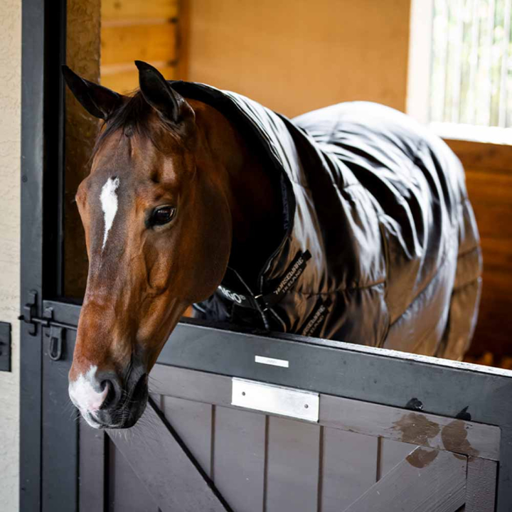Couverture d'écurie Amigo Insulator Ripstop 210D Plus 200g Noir/Argent dans le groupe Couvertures cheval / Couvertures d'écurie chez Equinest (ABRFB4KKIBASI_r)