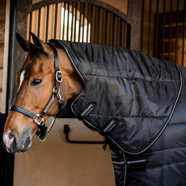 Couvre-cou Amigo Ripstop Insulator 210D 200g Noir/Noir/Argent dans le groupe Couvertures cheval / Couvre-encolures chez Equinest (ABRHN4KKIBABASI_r)
