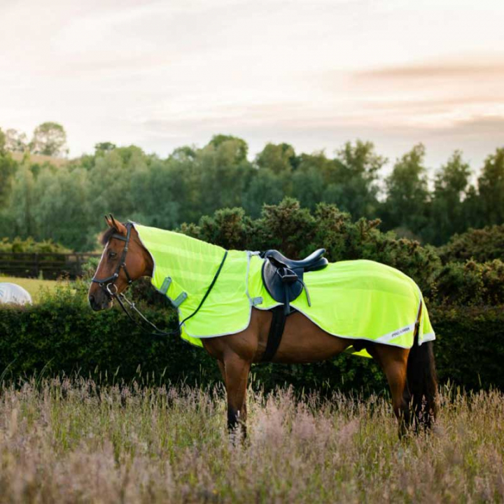 Amigo Flyrider Couverture de cheval Jaune néon dans le groupe Couvertures cheval / Couvertures de sortie & couvre-reins chez Equinest (AFRE10Gu_r)