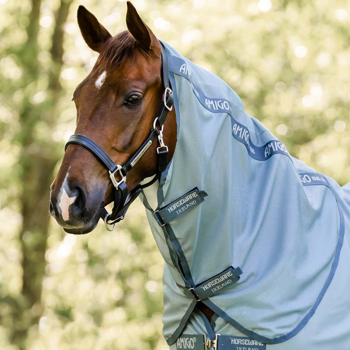 Couvre-cou Amigo Bug Rug Bleu clair/Bleu/Argent dans le groupe Couvertures cheval / Couvre-encolures chez Equinest (AFRNNNCCLBLBLSI_r)