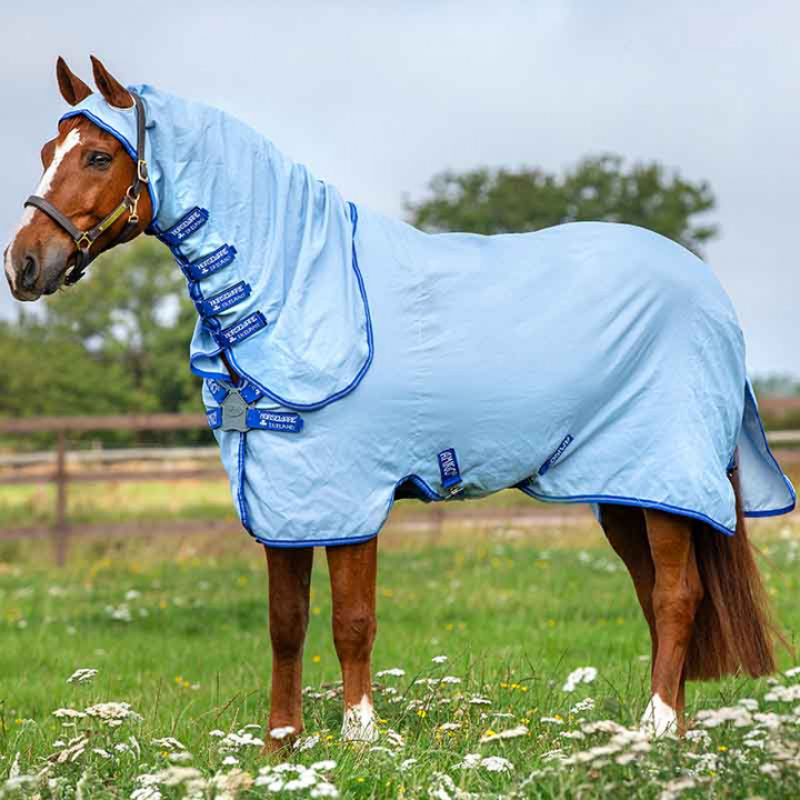 Couverture anti-mouches/contre la dermatite estivale Amigo Ripstop Hoody Bleu dans le groupe Couvertures cheval / Couvertures anti-mouches & anti-eczéma chez Equinest (AFROJ0Bl_r)
