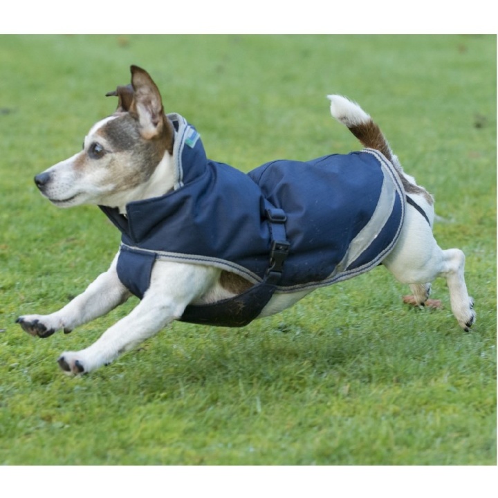 Manteau pour chien Freedom Bleu Marinee 30cm dans le groupe Chien / Manteaux et pulls pour chien chez Equinest (B-281MA-29-300G)