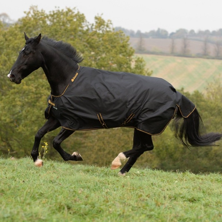 Irish Turnout 50g Noir/Or dans le groupe Couvertures cheval / Couvertures d'extérieur / Couvertures imperméables cheval chez Equinest (B-656_S_r)