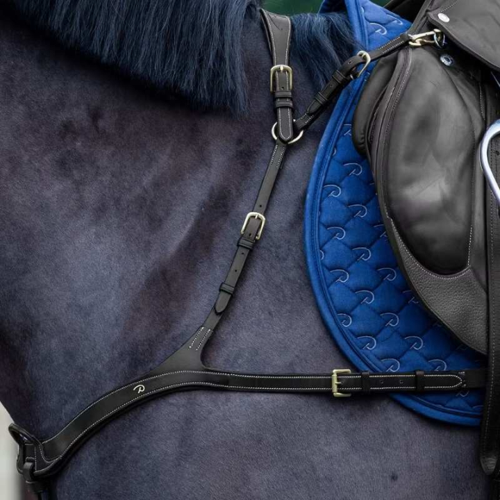 Collier de chasse Anatomical Dyon Collection Noir dans le groupe Équipement cheval / Martingales & Enrênements / Colliers de chasse chez Equinest (DY06BBLCBA_r)