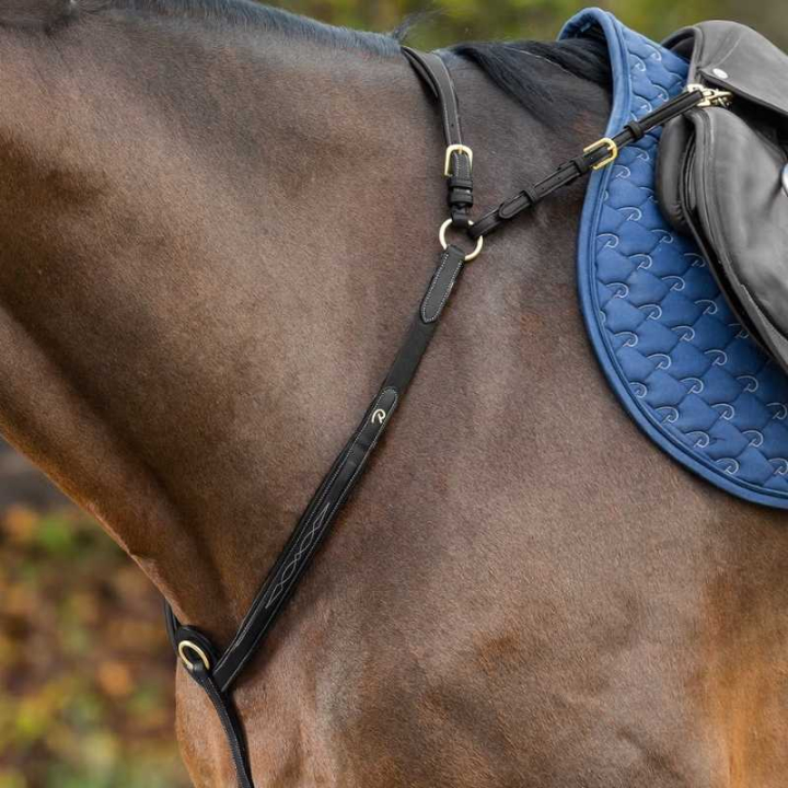 Collier de chasse avec pont Dyon Collection Noir dans le groupe Équipement cheval / Martingales & Enrênements / Colliers de chasse chez Equinest (DY06DBLCBA_r)