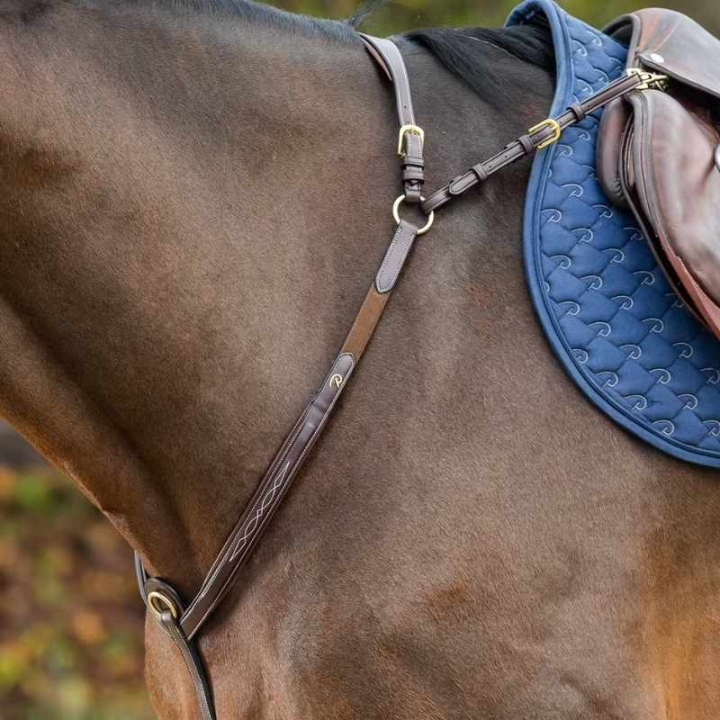 Collier de chasse avec pont Dyon Collection Marron dans le groupe Équipement cheval / Martingales & Enrênements / Colliers de chasse chez Equinest (DY06DBRCBR_r)