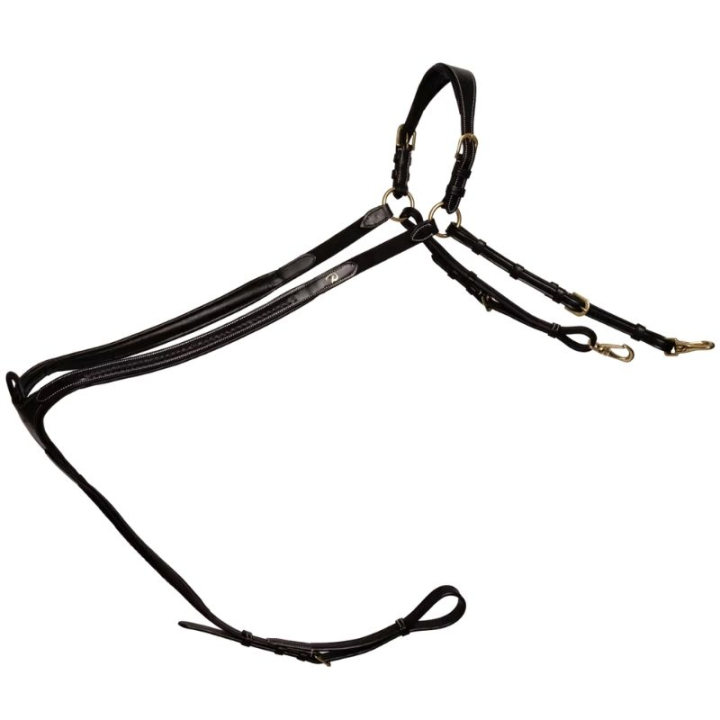 Collier de chasse Plaited Dyon Collection Noir dans le groupe Équipement cheval / Martingales & Enrênements / Colliers de chasse chez Equinest (DY06HBLCBA_r)