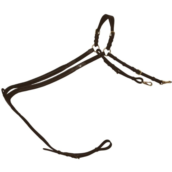 Collier de chasse Plaited Dyon Collection Marron dans le groupe Équipement cheval / Martingales & Enrênements / Colliers de chasse chez Equinest (DY06HBRCBR_r)