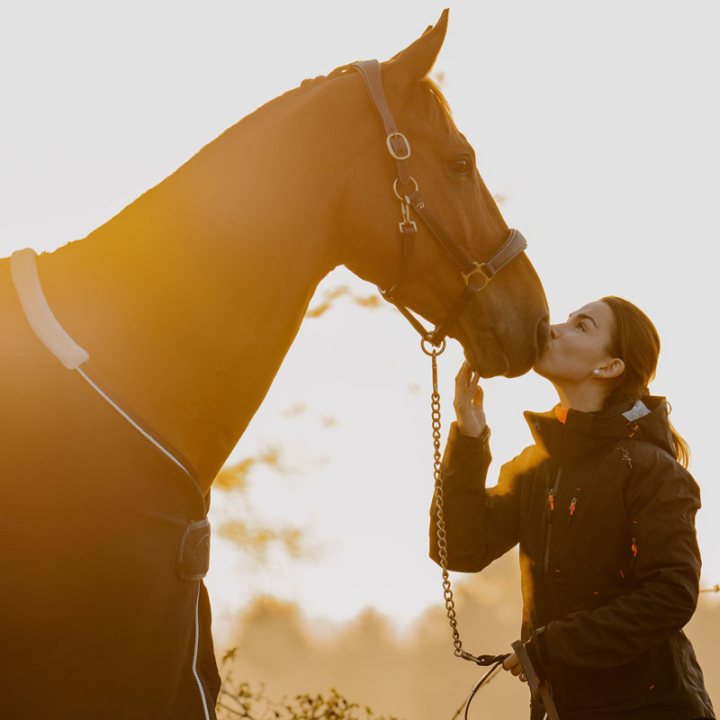 Halter de toilettage Artificial Leather Anatomic DC Marron dans le groupe Équipement cheval / Licols / Longes en cuir chez Equinest (DY09ABRCBR_r)