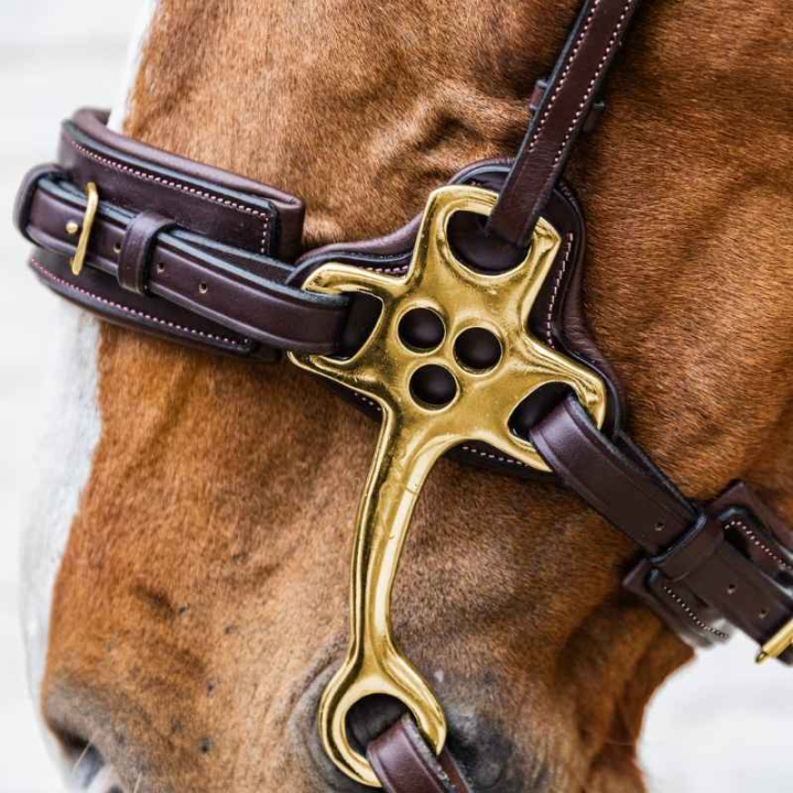 Hackamore Dyon Collection Marron dans le groupe Équipement cheval / Mors / Hackamore chez Equinest (DY1400305BR_r)