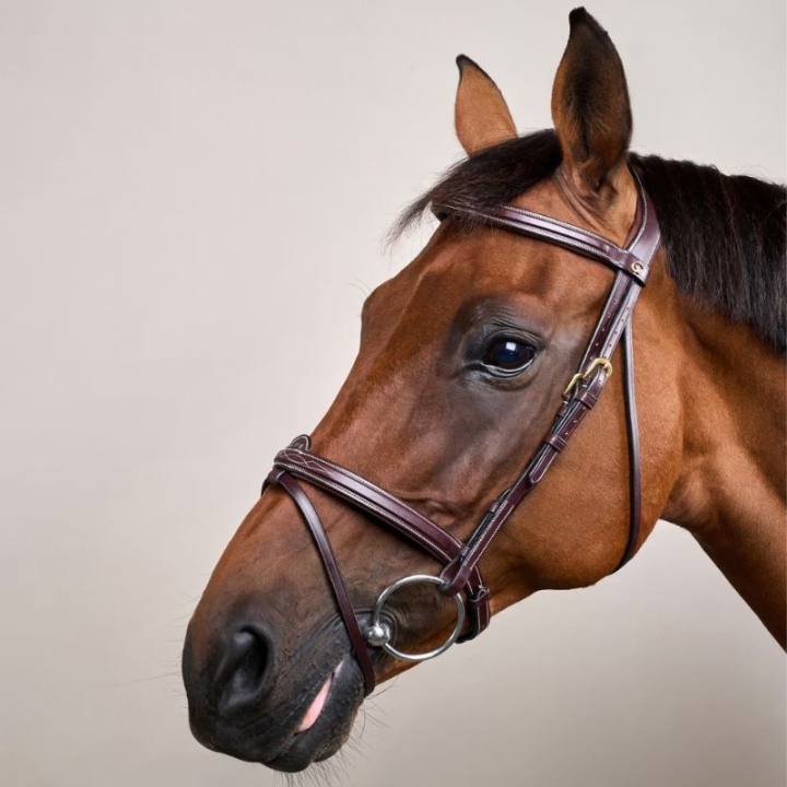 Bridon combiné relevé DC marron dans le groupe Équipement cheval / Briderie & Frontaux / Brides chez Equinest (DYAAAABr_r)