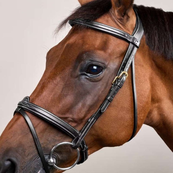 Bridon combiné Dyon Collection Noir dans le groupe Équipement cheval / Briderie & Frontaux / Brides chez Equinest (DYAAAASv_r)