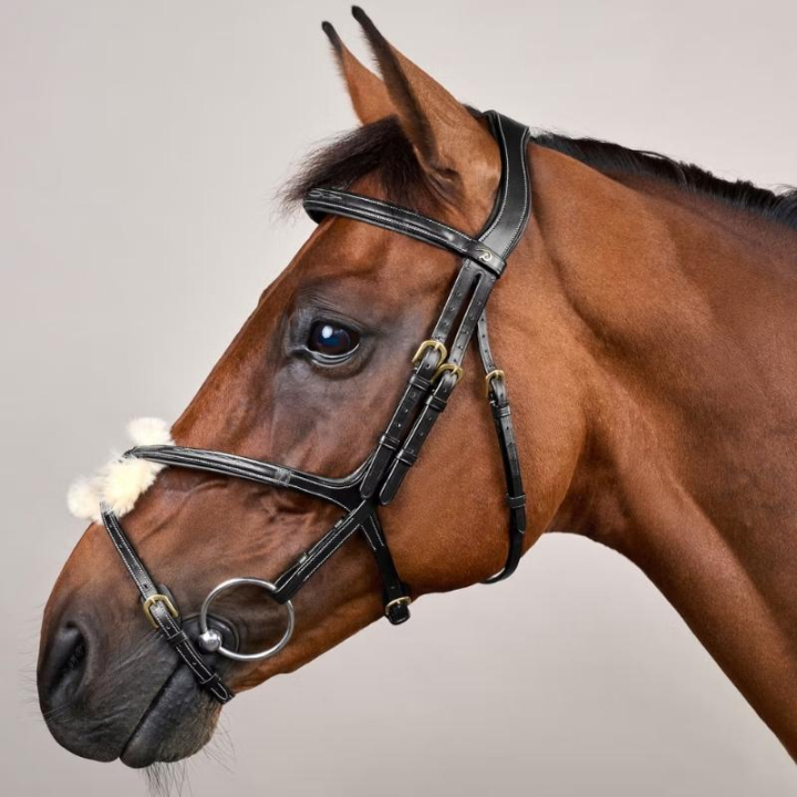Bridon à Muserolle Croisée Dyon Collection Noir dans le groupe Équipement cheval / Briderie & Frontaux / Brides chez Equinest (DYAAACBLCBA_r)